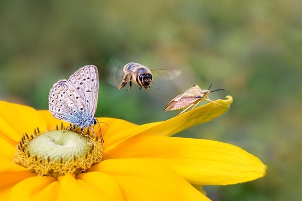 adobestock_266662769.jpg