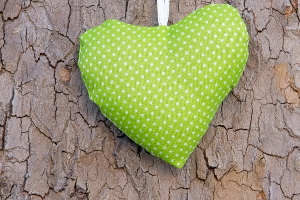 adobestock_40664090.jpg