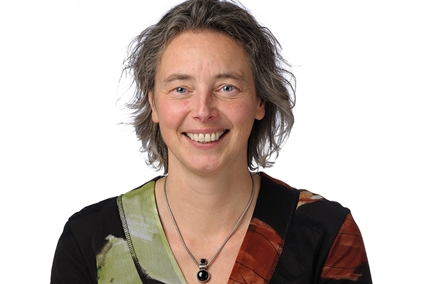 Rosl Veltmeijer, Triodos Investment Management