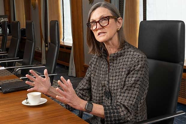 Cathie Wood, Ark Invest