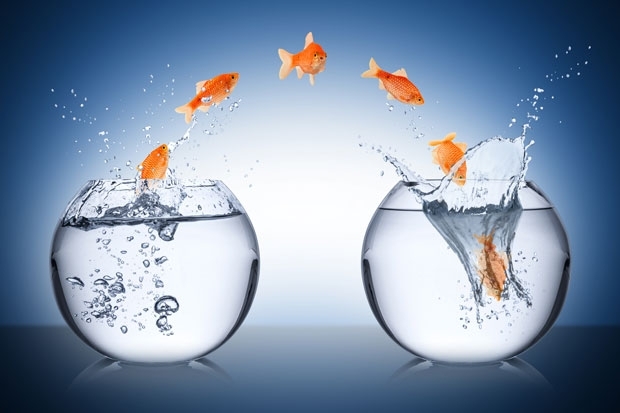 Die spektakul&auml;rsten Fondsmanagerwechsel