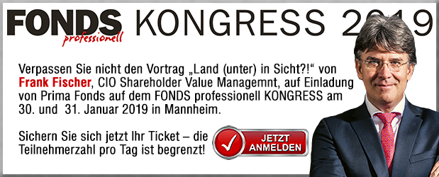 Vorabpauschale Frankfurter Aktienfonds Fur Stiftungen Hilft Aus Unternehmen 09 10 18 Fonds Professionell