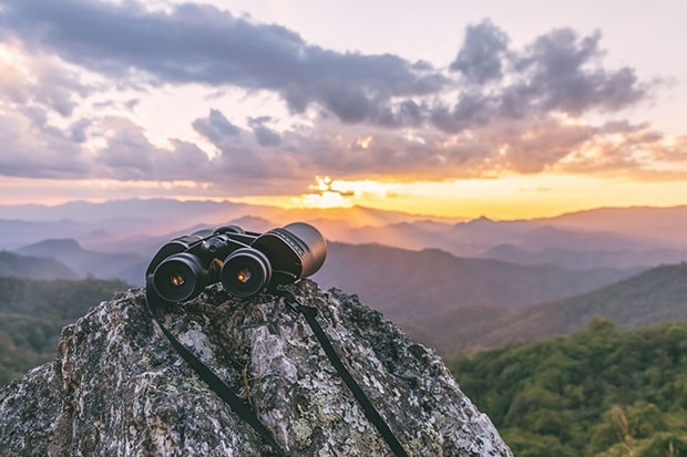 adobestock_397382325.jpg