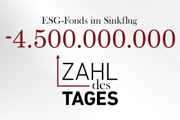Zahl des Tages