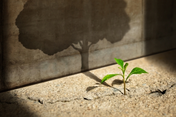 adobestock_461834005.jpg