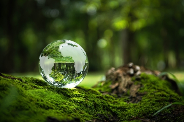 adobestock_566529534.jpg