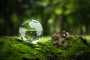 1686063377_adobestock_566529534.jpg