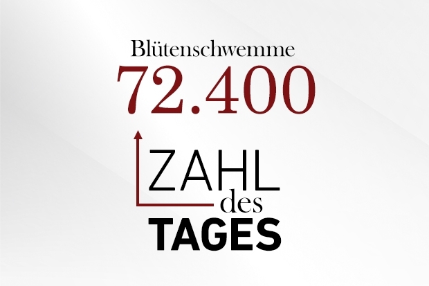 Zahl des Tages