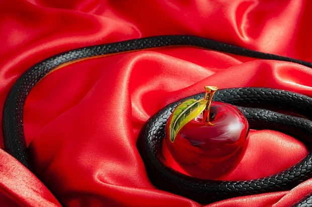 adobestock_117885551.jpg