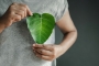1680001772_adobestock_441698504.jpg