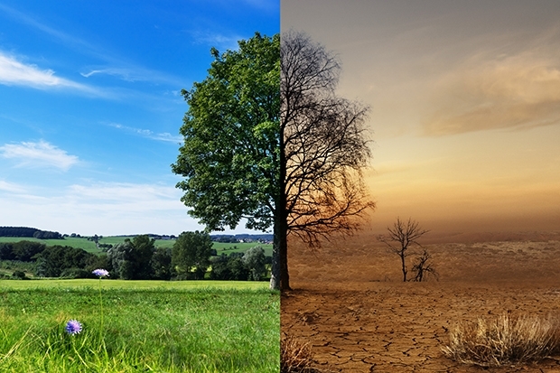 klimawandel.jpg