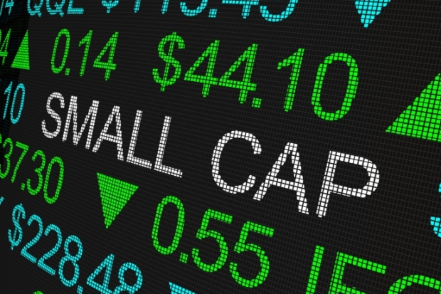 Small Cap