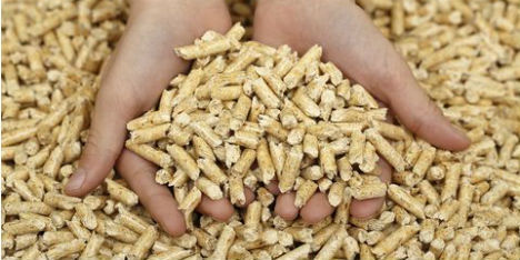 Mittelstandsanleihen German Pellets Ist Pleite Unternehmen 10 02 16 Fonds Professionell