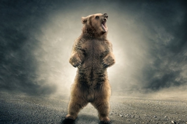 endeemm / stock.adobe.com